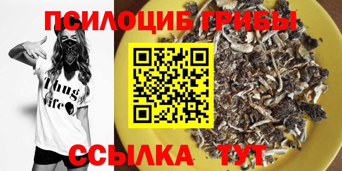 Дальнереченск  Псилоцибиновые грибы MAGIC MUSHROOMS  купить закладку  Вход с VPN 